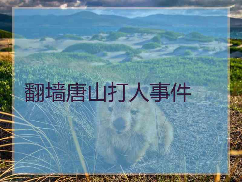 翻墙唐山打人事件