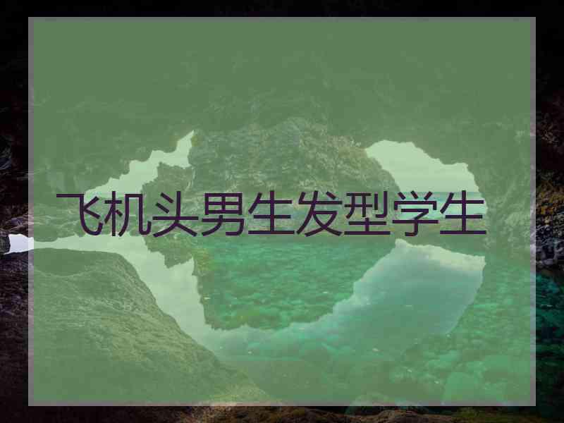 飞机头男生发型学生