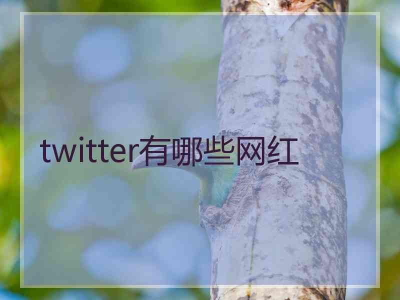 twitter有哪些网红