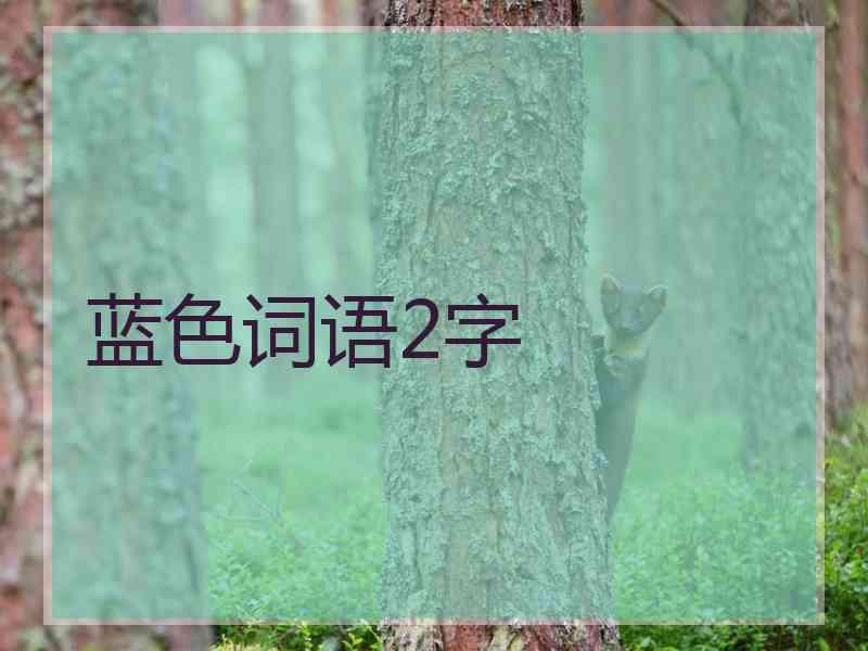 蓝色词语2字