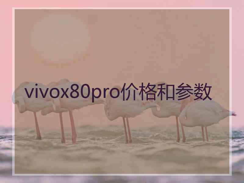 vivox80pro价格和参数