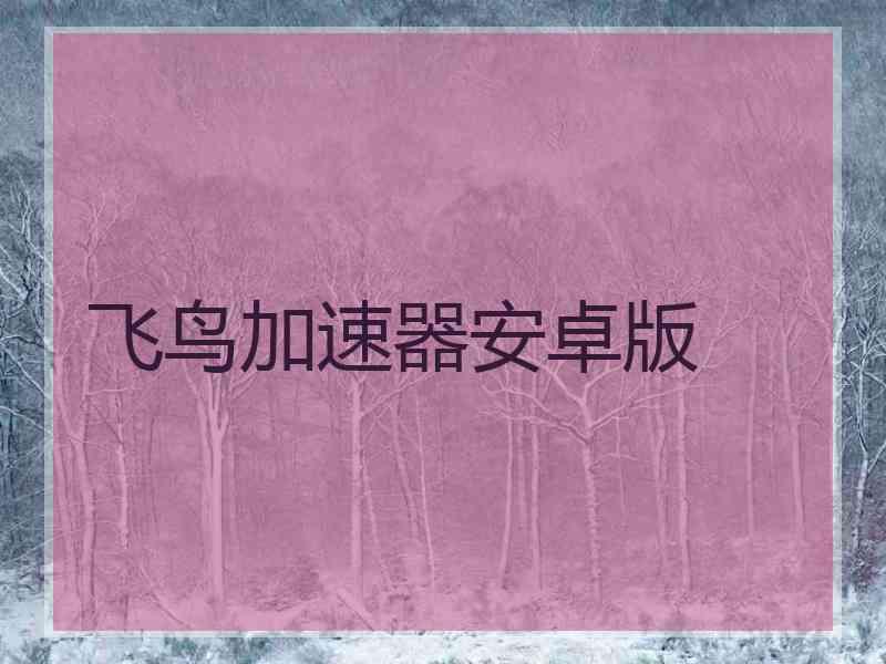 飞鸟加速器安卓版