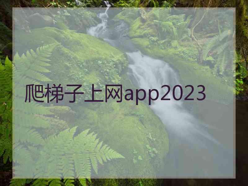爬梯子上网app2023