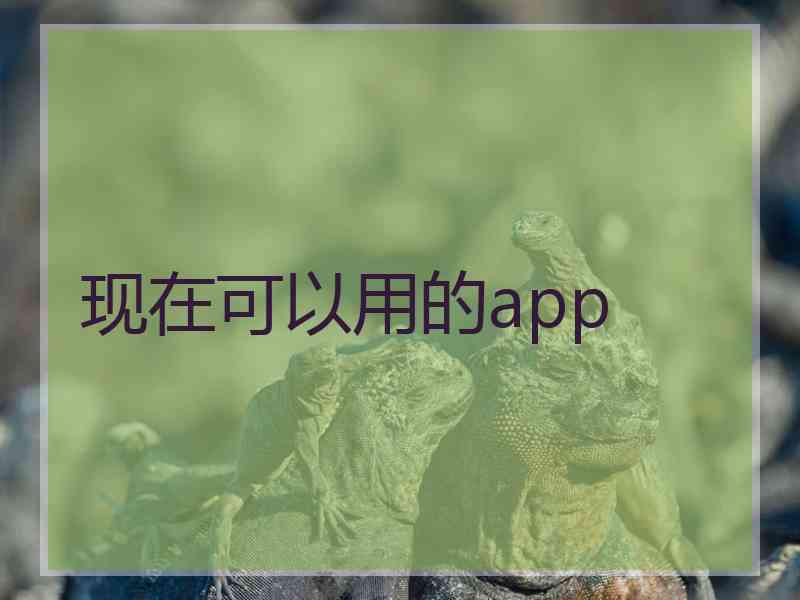 现在可以用的app