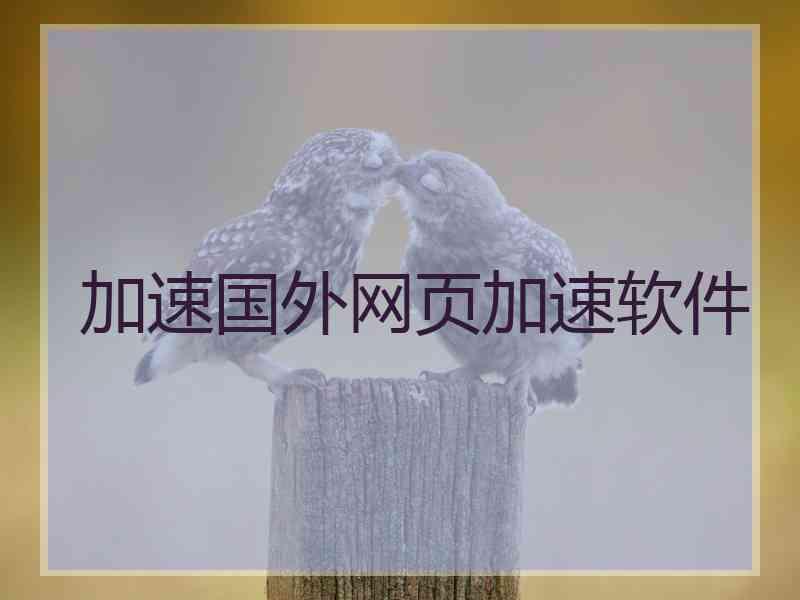 加速国外网页加速软件