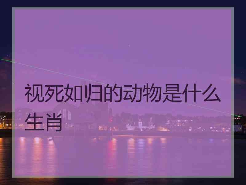 视死如归的动物是什么生肖