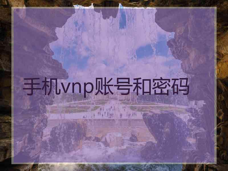 手机vnp账号和密码