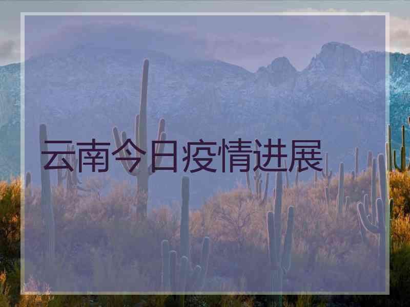 云南今日疫情进展