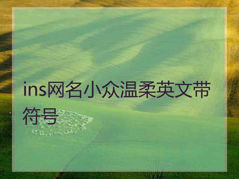 ins网名小众温柔英文带符号