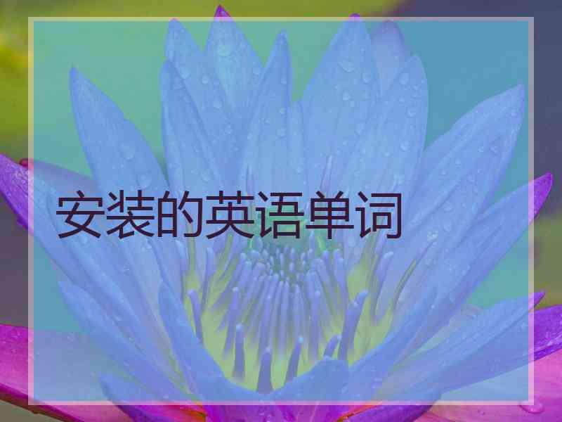 安装的英语单词