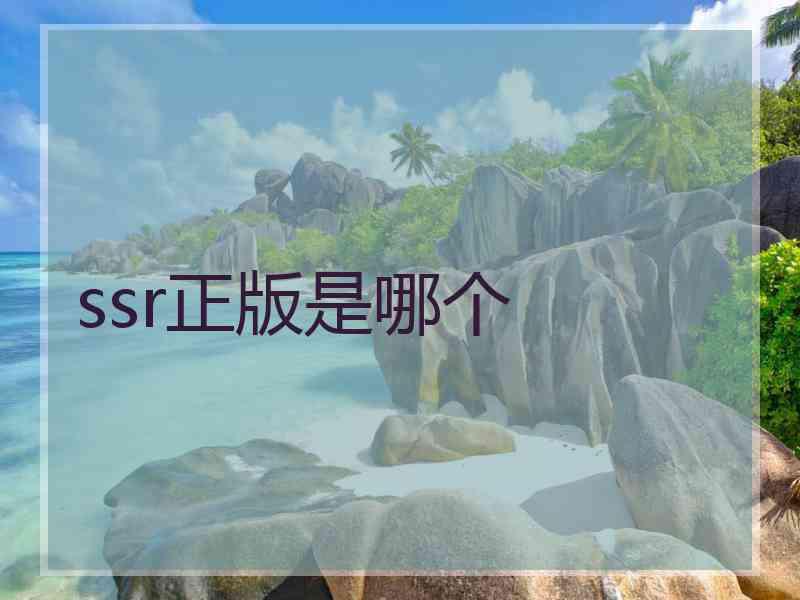 ssr正版是哪个