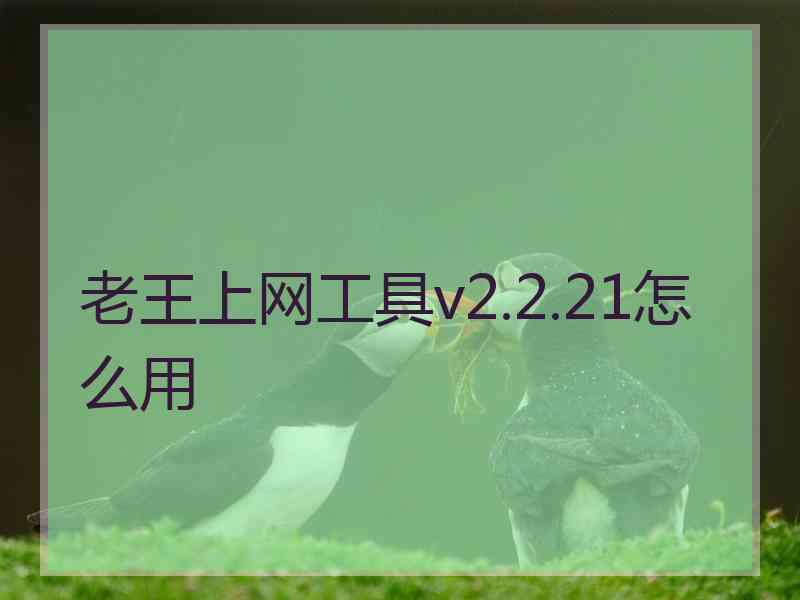 老王上网工具v2.2.21怎么用