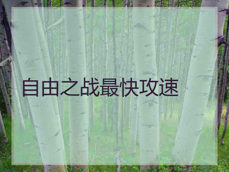 自由之战最快攻速