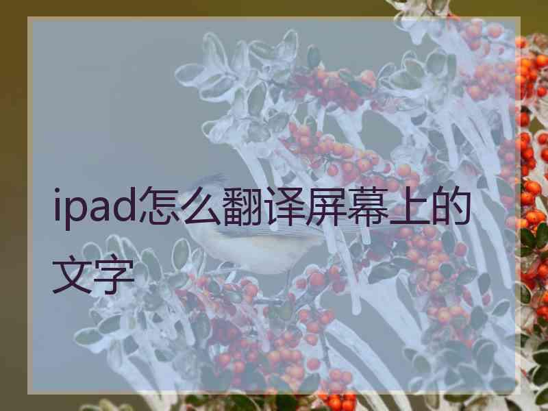 ipad怎么翻译屏幕上的文字