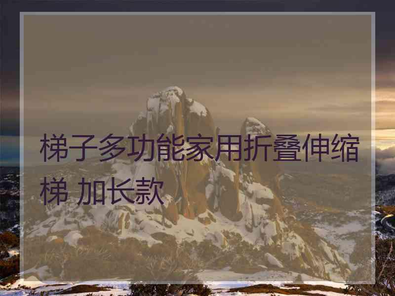 梯子多功能家用折叠伸缩梯 加长款