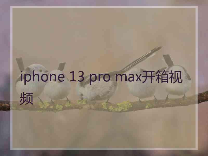 iphone 13 pro max开箱视频