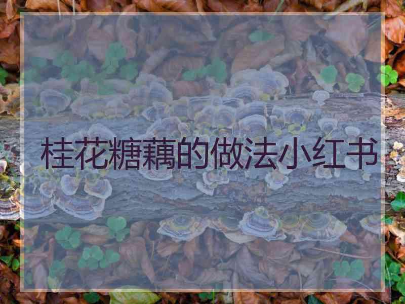 桂花糖藕的做法小红书