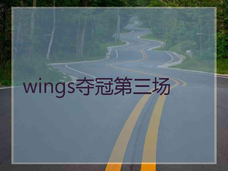 wings夺冠第三场
