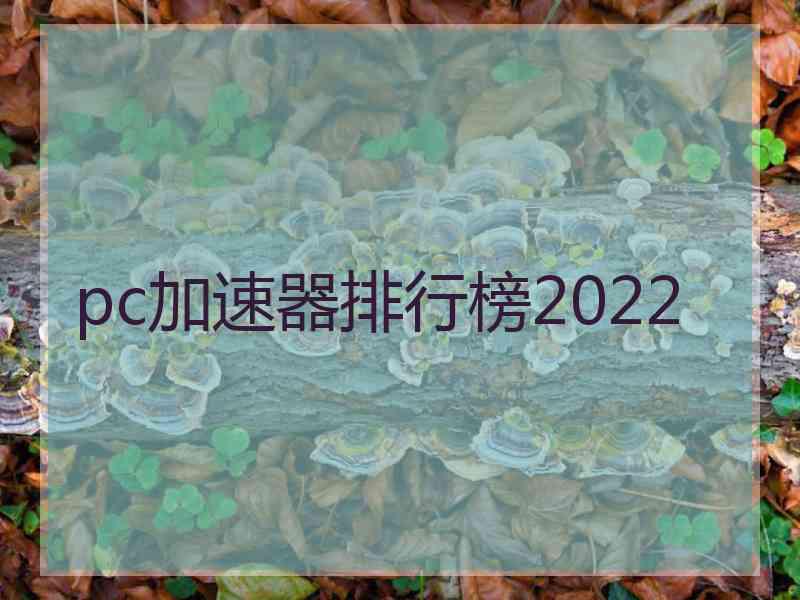 pc加速器排行榜2022