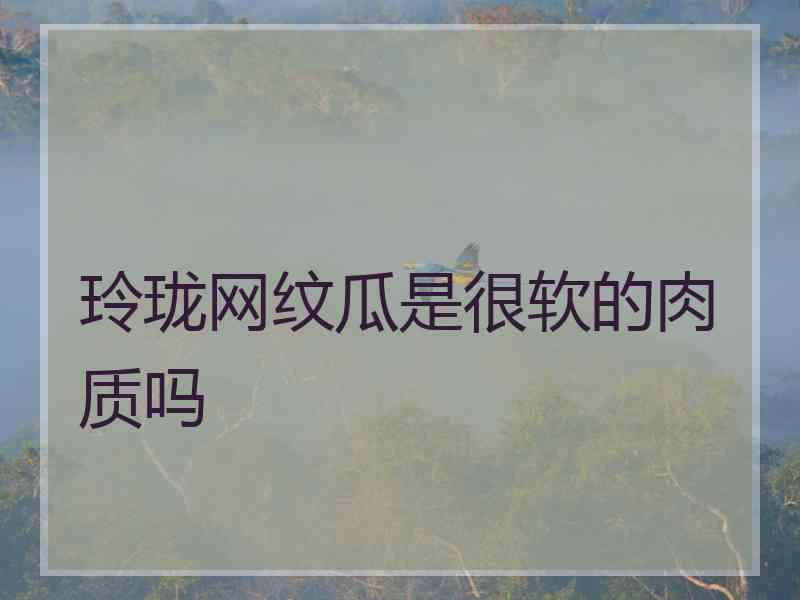 玲珑网纹瓜是很软的肉质吗