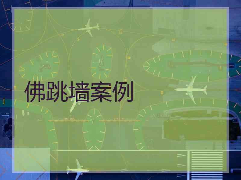 佛跳墙案例