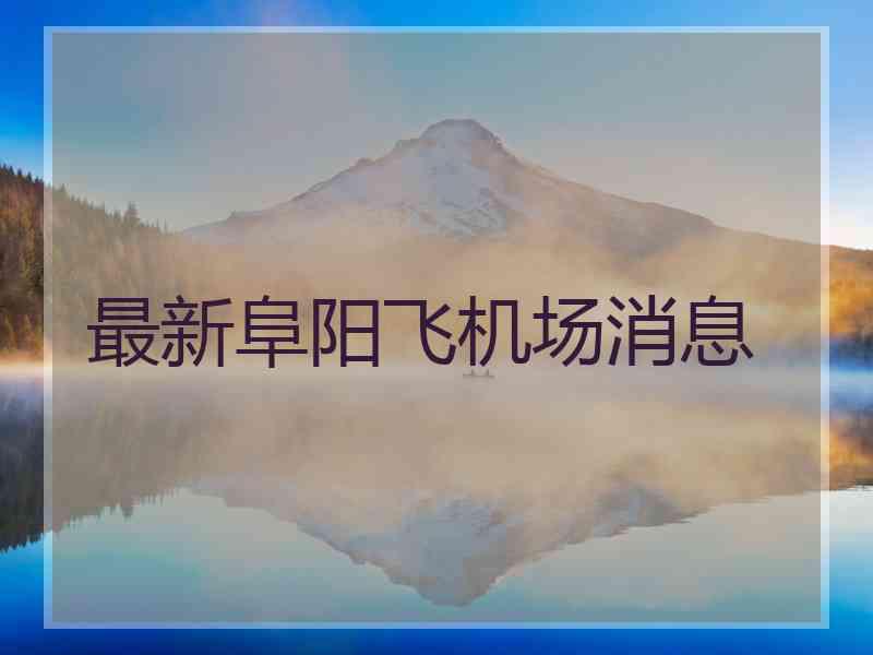 最新阜阳飞机场消息