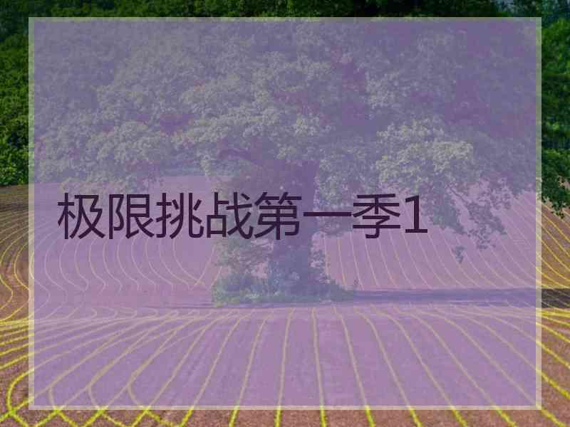 极限挑战第一季1