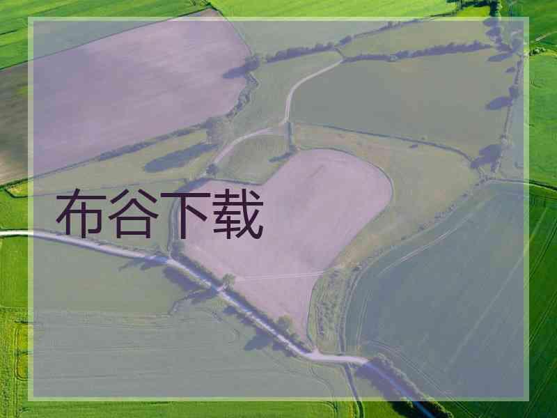 布谷下载