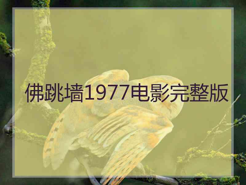 佛跳墙1977电影完整版