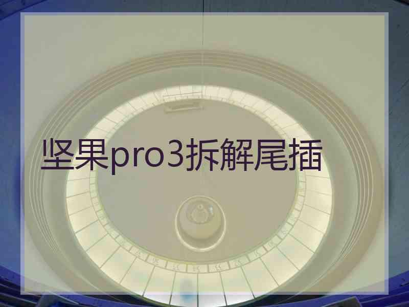 坚果pro3拆解尾插