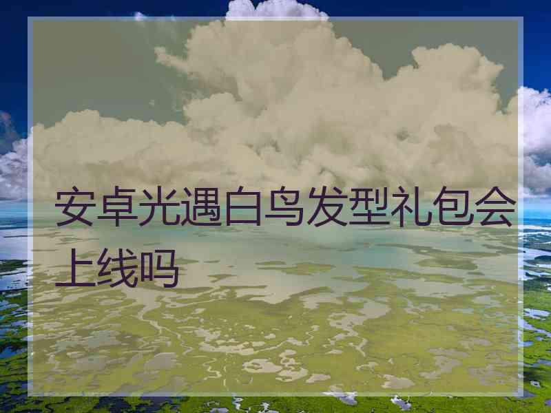 安卓光遇白鸟发型礼包会上线吗
