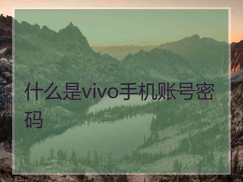 什么是vivo手机账号密码