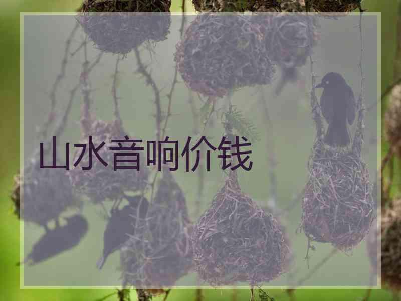 山水音响价钱