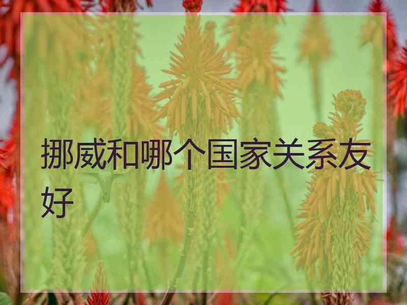 挪威和哪个国家关系友好