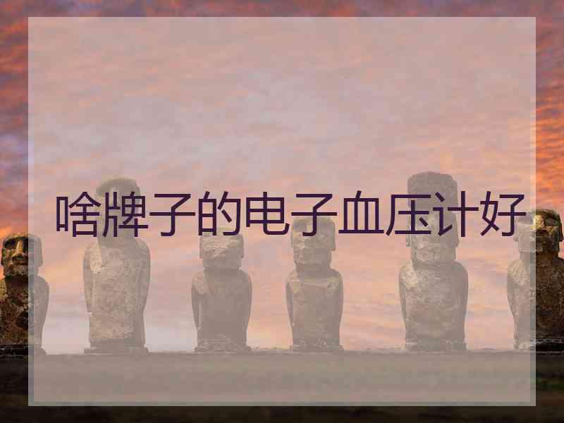 啥牌子的电子血压计好