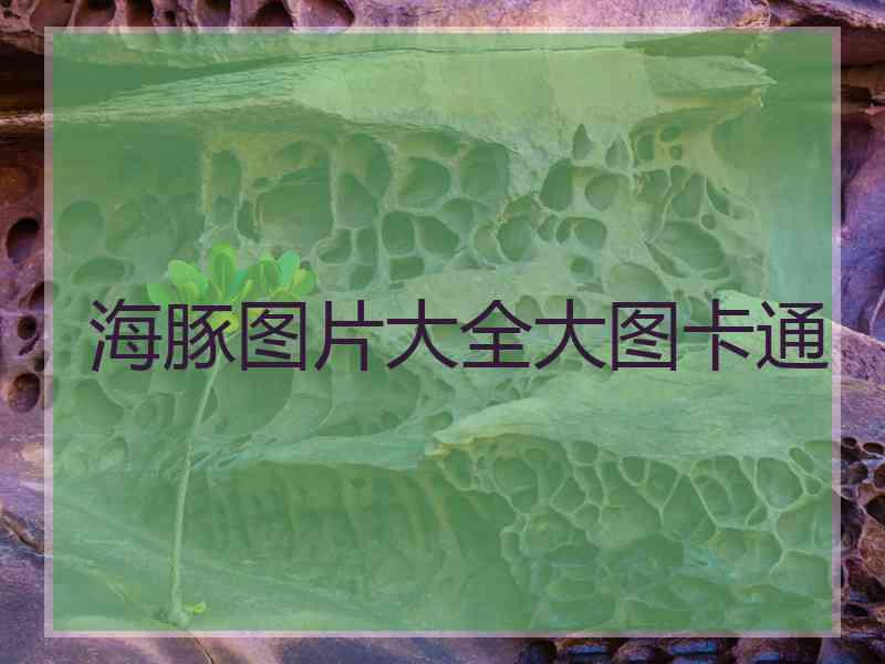海豚图片大全大图卡通