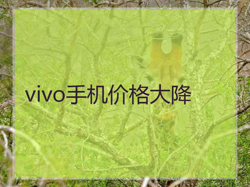 vivo手机价格大降
