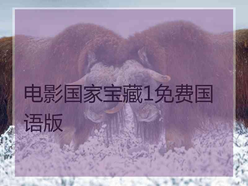 电影国家宝藏1免费国语版