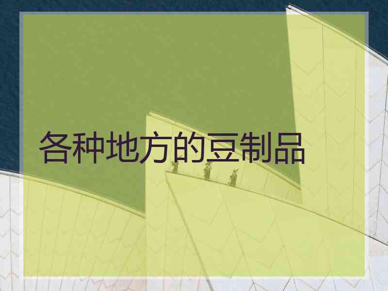 各种地方的豆制品