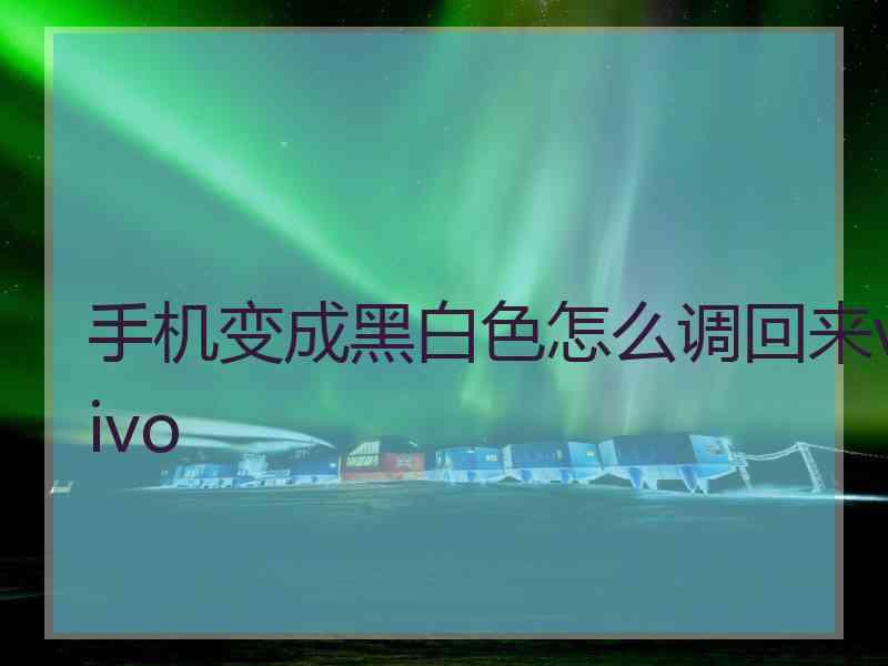 手机变成黑白色怎么调回来vivo