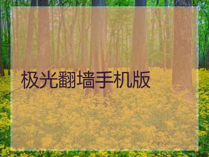 极光翻墙手机版