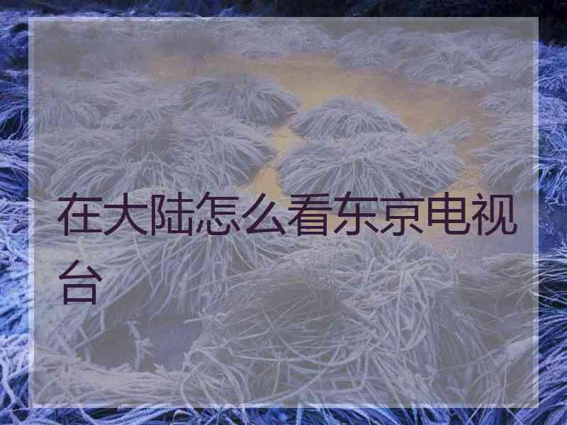 在大陆怎么看东京电视台