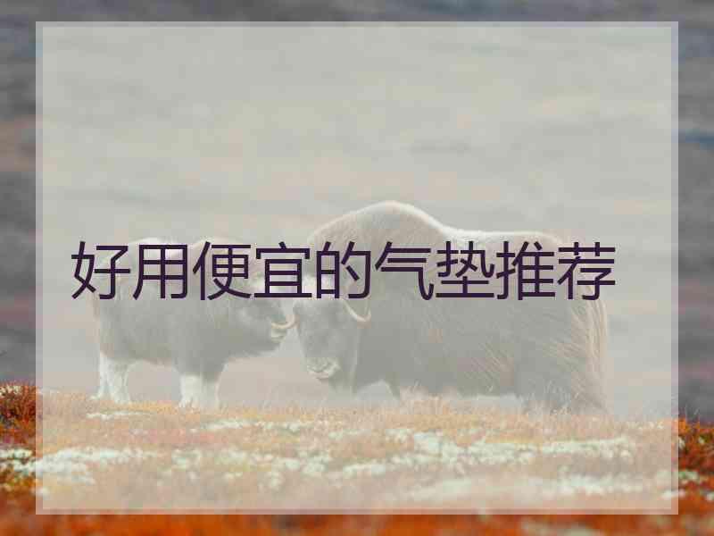 好用便宜的气垫推荐