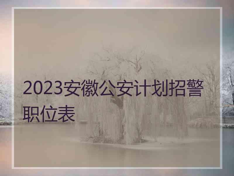 2023安徽公安计划招警职位表