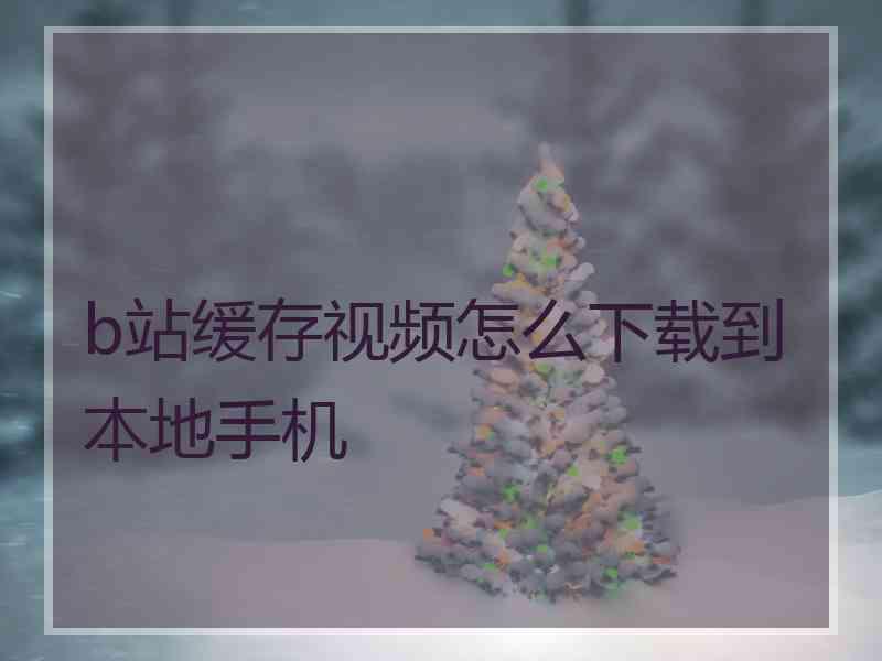 b站缓存视频怎么下载到本地手机