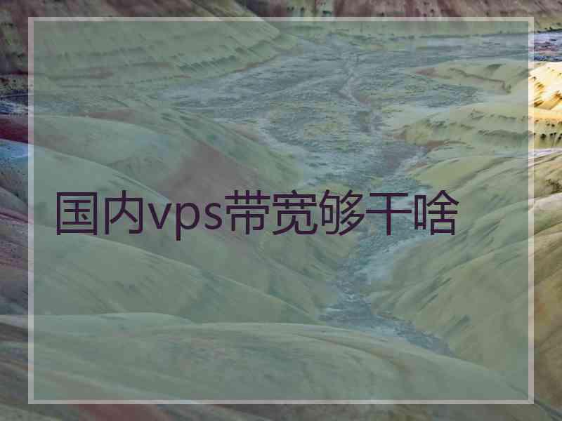 国内vps带宽够干啥