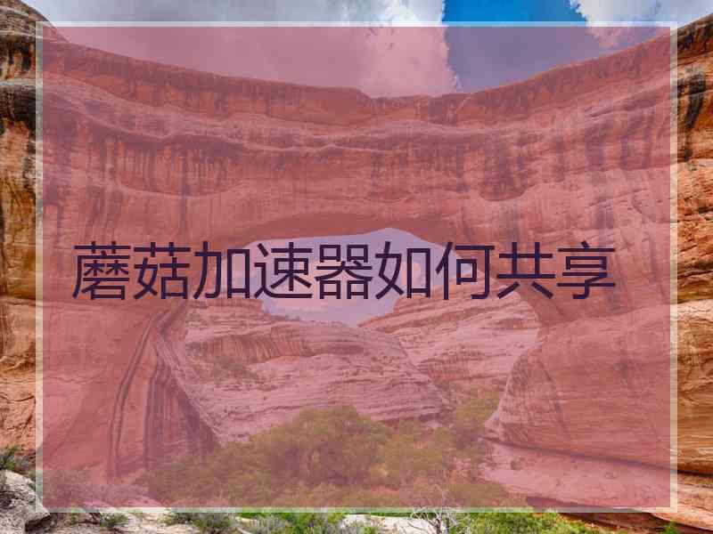 蘑菇加速器如何共享