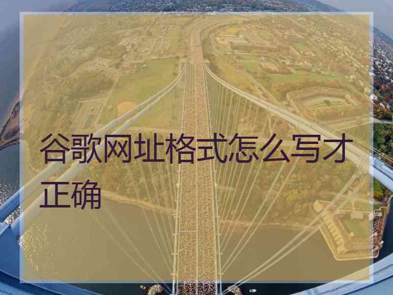 谷歌网址格式怎么写才正确