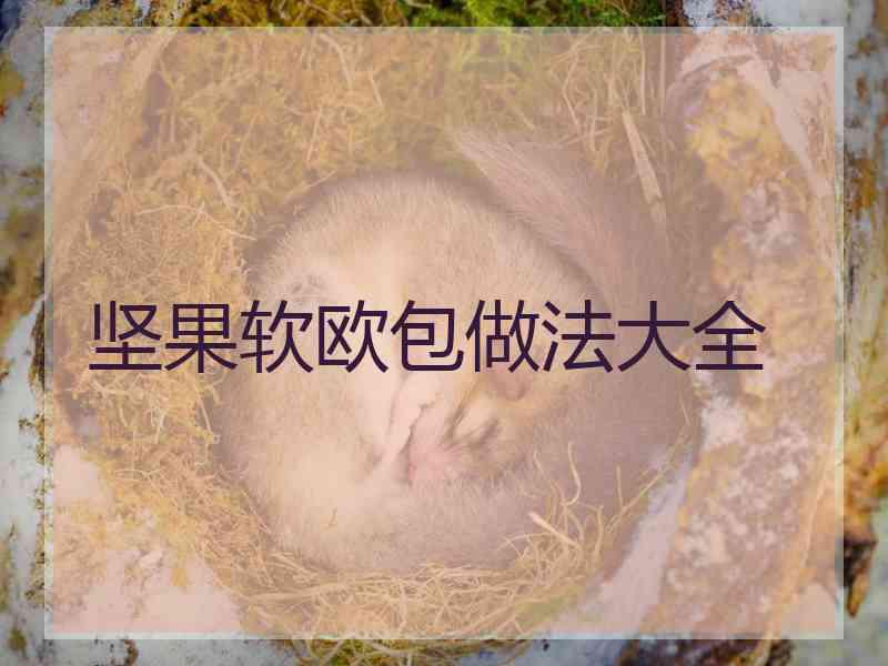坚果软欧包做法大全