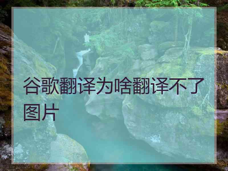 谷歌翻译为啥翻译不了图片